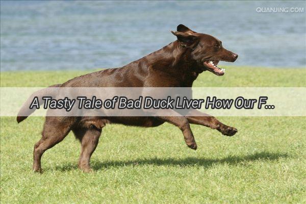 A Tasty Tale of Bad Duck Liver How Our Furry Friends Dinner Turned into a Mischievous Mishap